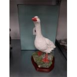 A large boxed Russell Willis ceramic model of a goose.