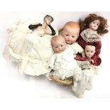 Selection of dolls: two Armand Marseille Dream Babys, one with celluloid the other with