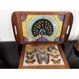 A wooden tray depicting a peacock made with butterfly wings together with a picture of framed