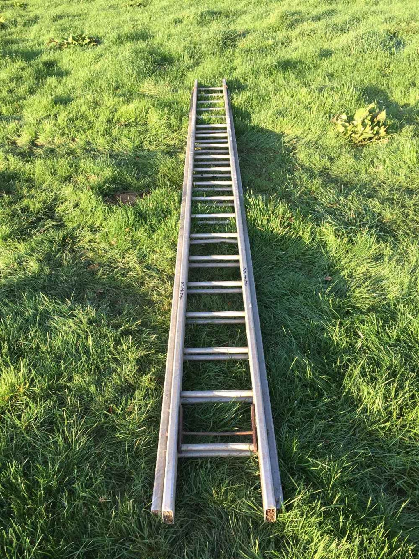 Aluminium Ladder