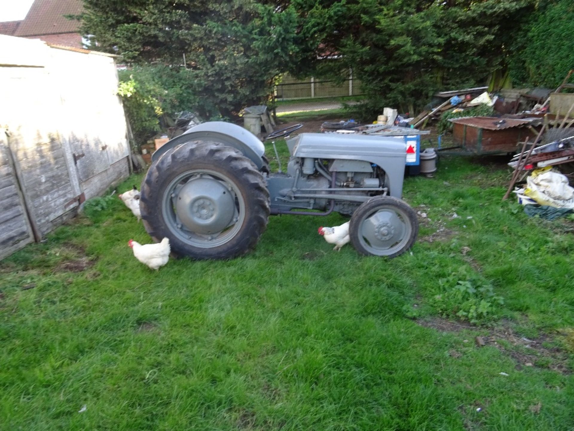 (GJB 125) Grey Ferguson, Petrol, 3 point linkage, Rear Tyres: Goodyear 12.