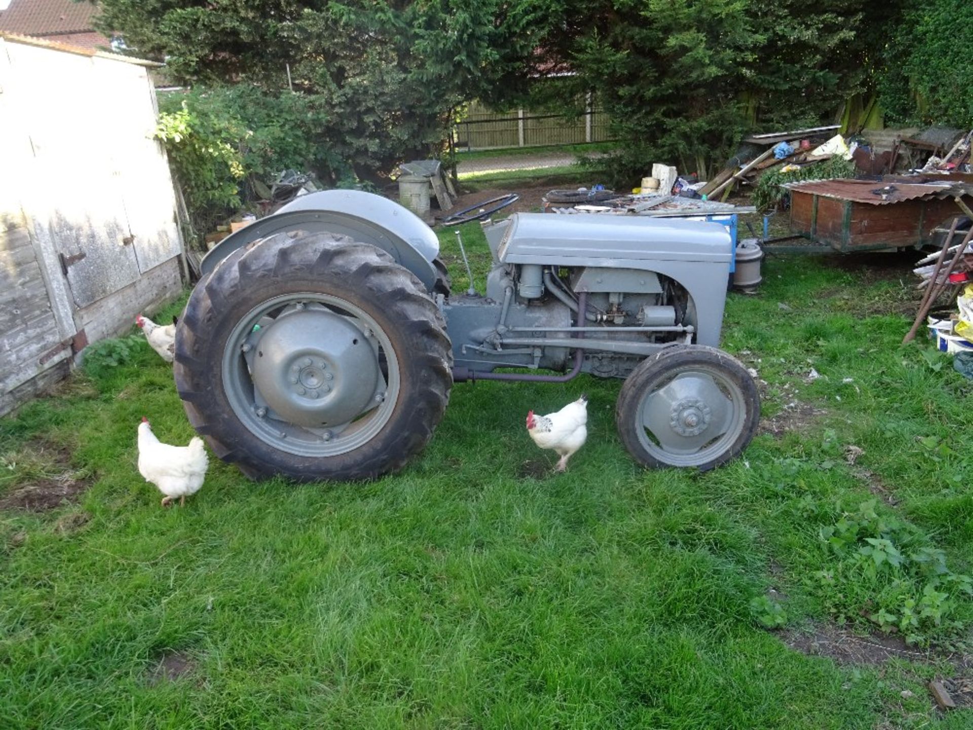 (GJB 125) Grey Ferguson, Petrol, 3 point linkage, Rear Tyres: Goodyear 12. - Image 2 of 4