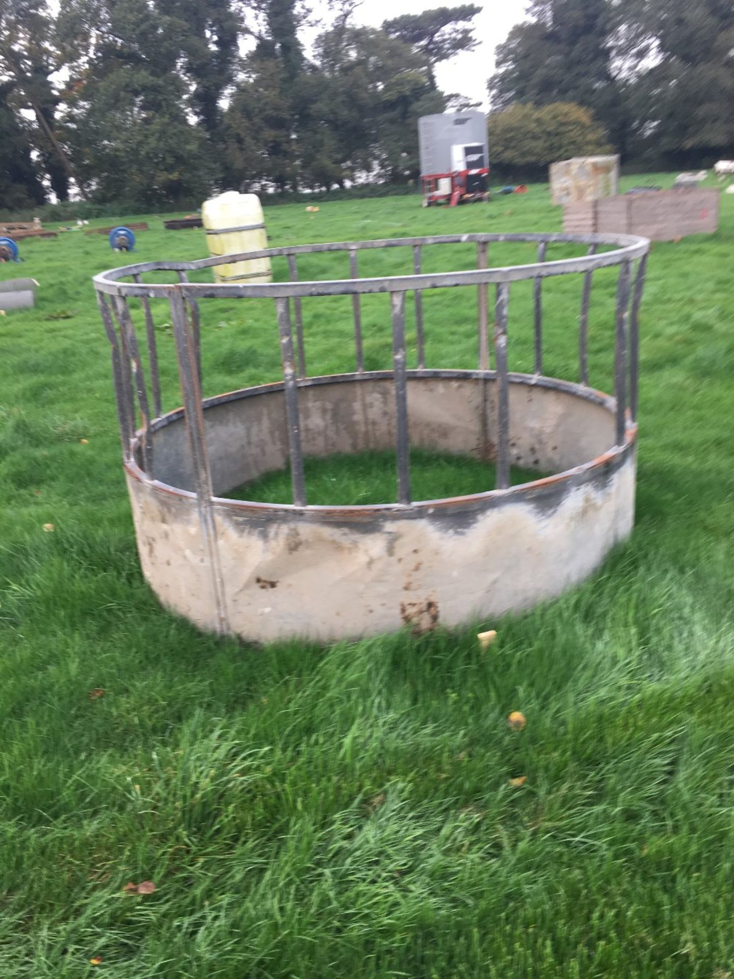 Cattle Feed Ring