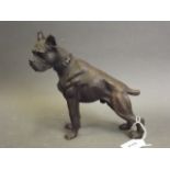 A bronze figure of a mastiff, 7½" high