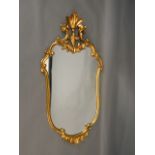 A Continental Rococo style gilt wood pier glass, 24" x 48"