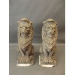 A pair of reconstituted stone lions, 30" high