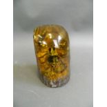 An amber style paperweight containing a scorpion, 4½" high