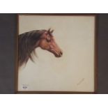 An oil on board, portrait of a horse's head, inscribed 'Sobhrachan', 17" square