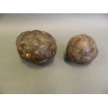 Two pieces of coprolite, largest 3½"