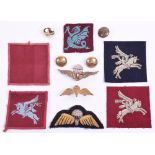 Selection of Parachute Regiment Insignia