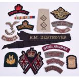 Selection of Cloth Insignia