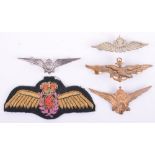 Other Nations Air Force Wings