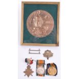 Great War Medals of the Newton Family