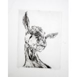 Chris Salmon One Goat etching AP signed 57 x 45 cm unframed On show at the Curwen Gallery RRP £