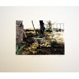 David Suff Egyptian Shadows, Garden IV 1984 etching APII of 50 signed 27 x 31 cm unframed On show at