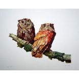 Don Cordery Two Little Owls lithograph Curwen Studio signed 57 x 78 cm unframed On show at the