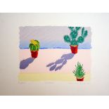 Yvonne Cole Cacti screenprint 23 of 100 signed 41 x 53 cm unframed On show at the Curwen Gallery RRP