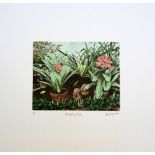 David Suff Conservatory Bench 1986 etching 14 of 50 signed 23 x 25 cm unframed On show at the Curwen