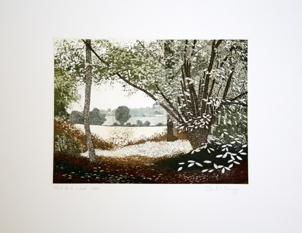 David Bowyer Out of the Wood Etching & Intaglio 110 of 250 signed 29 x 32 cm unframed On show at the