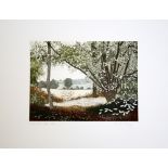 David Bowyer Out of the Wood Etching & Intaglio 110 of 250 signed 29 x 32 cm unframed On show at the