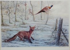 Fox Hunting a Pheasant,