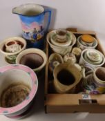 Poole pottery jug, 'Botanic Garden' planters, other planters, Royal Doulton,