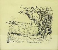 'Tree Study',