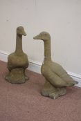 Pair West Country composite stone garden geese,