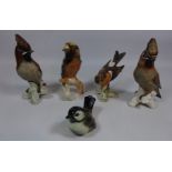 Five Goebel birds, Hawfinch, Brambling,