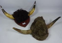 Mounted bull's horns and a traditional style fur hat with horns (2) Condition Report