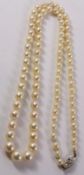 Cultured graduating pearl necklace with hallmarked 9ct white gold diamond clasp 60cm