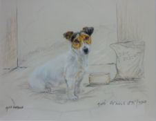 Jack Russell Portrait,