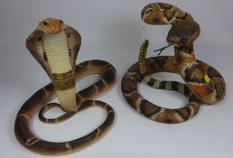 Hand crafted & painted models 'Cobra Sensing Danger & Rattlesnake',