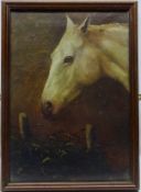 Horse Head Portrait, 19th century oil on canvas signed and dated N Brignall '82 verso,