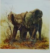 Baby African Elephants, limited edition colour print no.