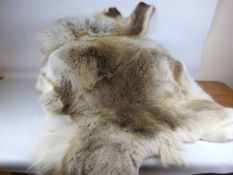 Two Reindeer skins, L125cm (2) Condition Report <a href='//www.davidduggleby.
