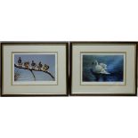 Swan on a Lake and Mallards in Line, pair limited edition colour prints no.