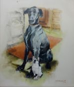 'Gaby & Alice', portrait of a Doberman Cross and Cat, oil on board singed and D. J.