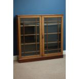 Early 20th century oak bookcase enclosed by two astragal glazed doors by Robson and Co Newcastle,