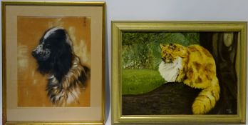 Head Portrait of a Cocker Spaniel, pastel monogrammed top right 38cm x 30cm and Portrait of a Cat,