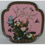 Early to mid 20th Century large Cloisonné quatrefoil charger on pink ground, W45cm