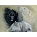 Portrait of Labradors and Cat, mixed media on paper signed and dated D Bentley 2010,