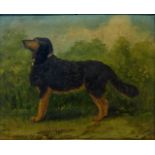 'Sailor' Portrait of a Dog, oil on board titled signed and dated W T Beane Jan.