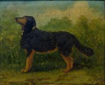 'Sailor' Portrait of a Dog, oil on board titled signed and dated W T Beane Jan.