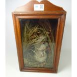 19th Century bisque head doll with composite body in display case with floral decoration H35cm