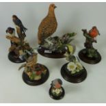 Country Artists 'Red Grouse' H25cm and five other Country Artists bird sculptures on plinths (6)