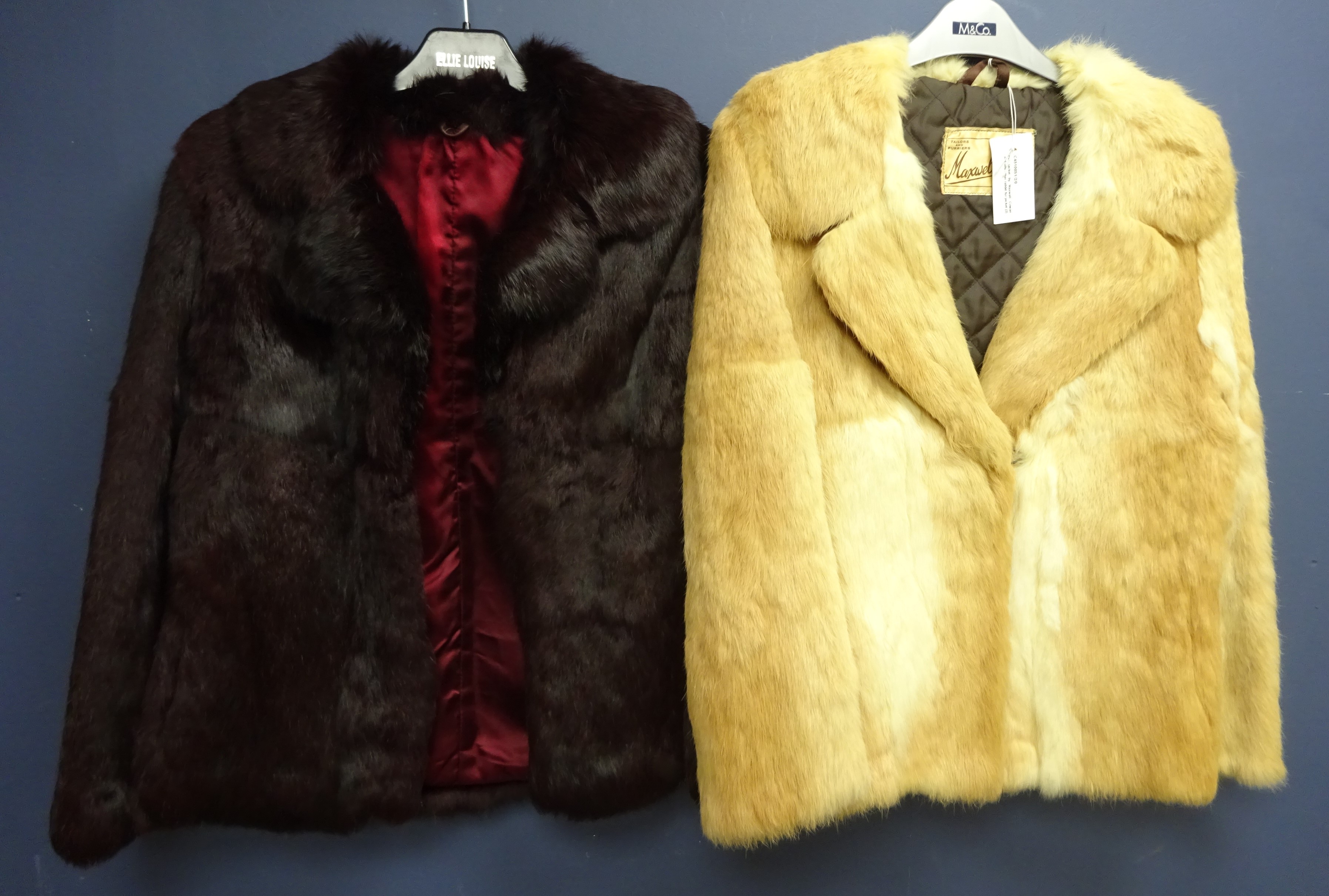 Clothing & Accessories - Fur jacket by Maxwell Cowan and one other rabbit fur jacket (2)