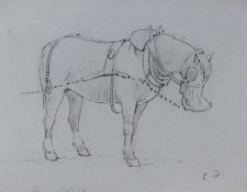 Edward Duncan (British 1803-1882): 'Dray Horse',