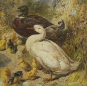 Thomas Charles Bale (British 1855-1925): Ducks and Ducklings,