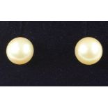 Pair pearl stud ear-rings halllmarked 9ct Condition Report <a href='//www.